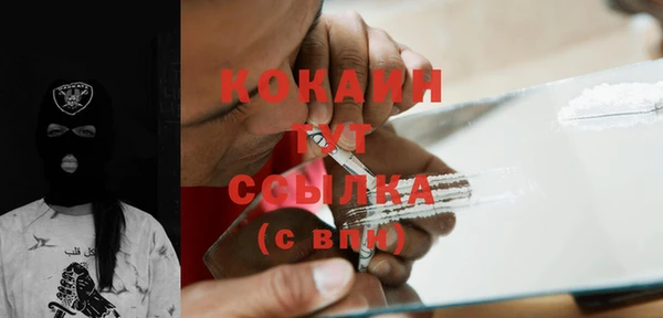 бошки Новодвинск