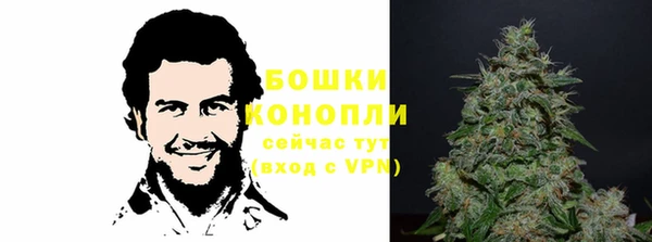 бошки Новодвинск