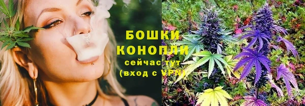 бошки Новодвинск