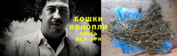 бошки Новодвинск