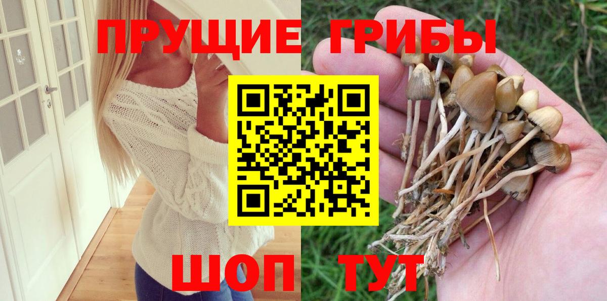 Новоуральск  Псилоцибиновые грибы прущие грибы  Вход с VPN 